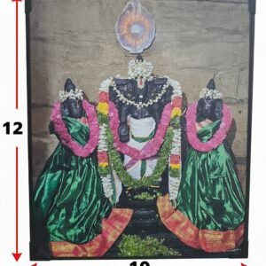 Lord Srinivasa of Pallakkal, Tirunelveli - 10x12 inches | Spiritual Wall & Table Frame for Pooja Room, Living Room