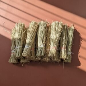 The Sacred Dharbha Grass (Kusha Grass) | Pack of 10