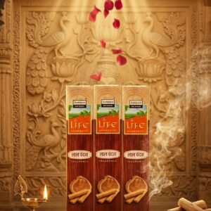 Darshan Life Agarbatti – Lal Chandan (Red Sandalwood) Fragrance Incense Sticks | Premium Pooja & Meditation Aroma|Pack 12 (Monthly Pack)