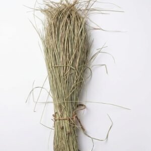 The Sacred Dharbha Grass (Kusha Grass) |Bundles for Puja and Other Rituals| 30 cm Long- Pack of 5